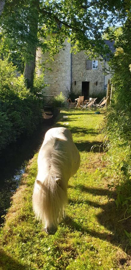 Moulin De La Bretonniere - Omaha Beach Aignerville エクステリア 写真