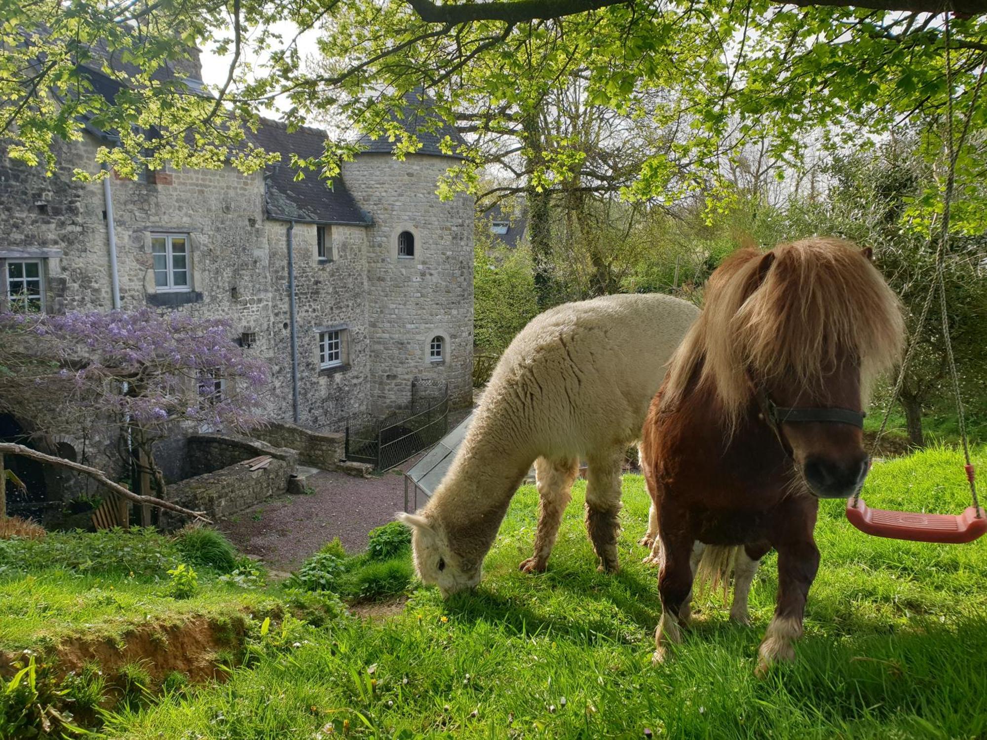 Moulin De La Bretonniere - Omaha Beach Aignerville エクステリア 写真