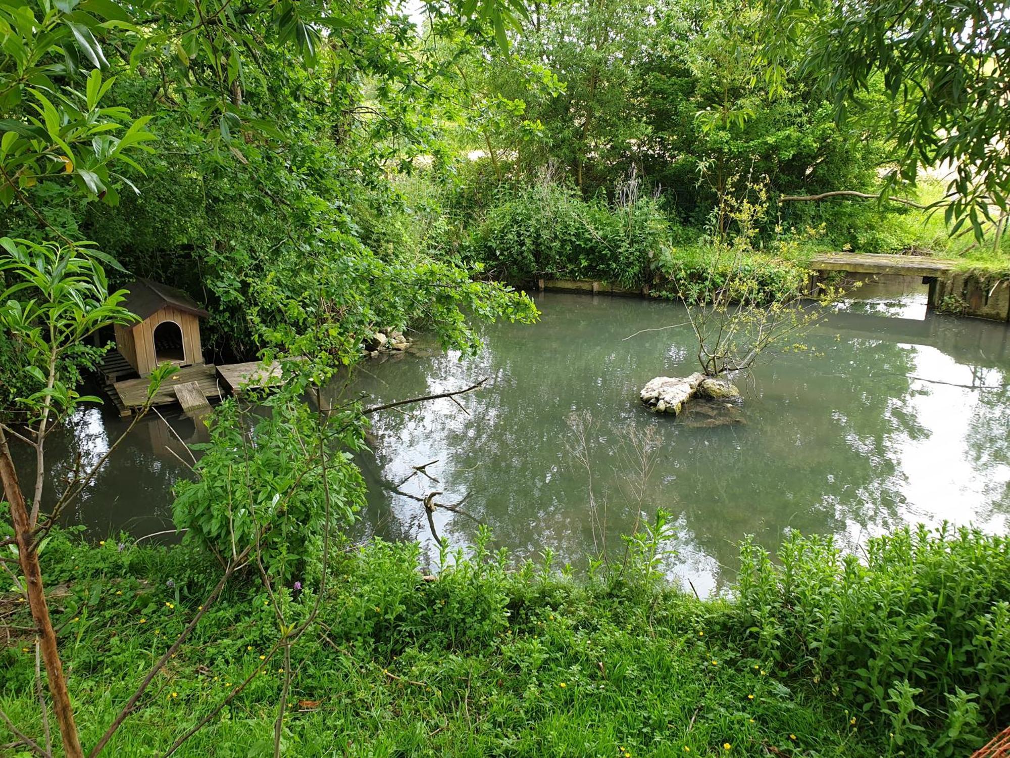 Moulin De La Bretonniere - Omaha Beach Aignerville エクステリア 写真